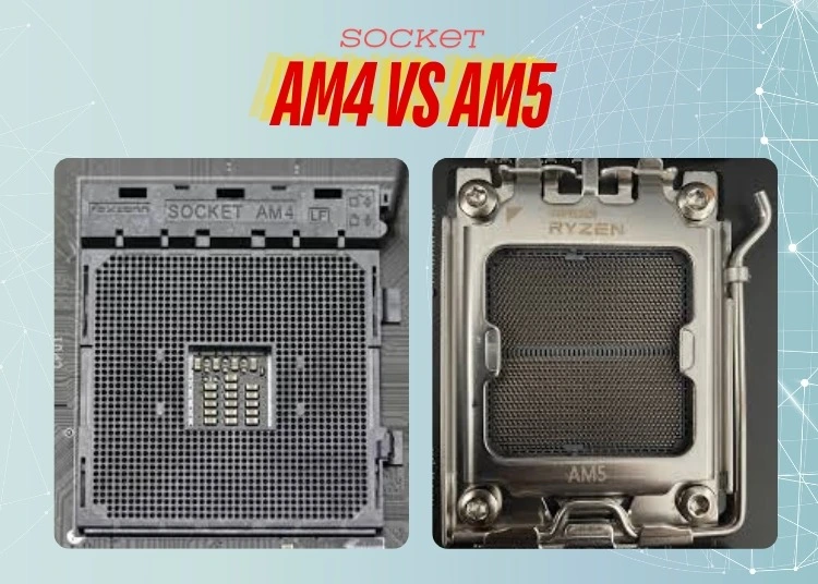 AM4 vs AM5: Which Socket is Right For Your Build? - Newsfication